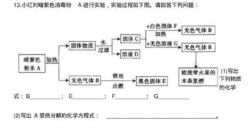 中考化學(xué)知識(shí)點(diǎn)基礎(chǔ)