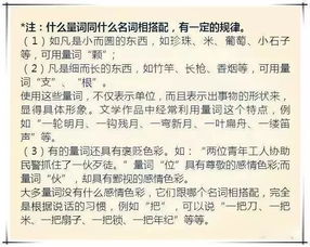 小學語文基礎知識大全,小學語文基礎知識歸納,小學語文語法基礎知識