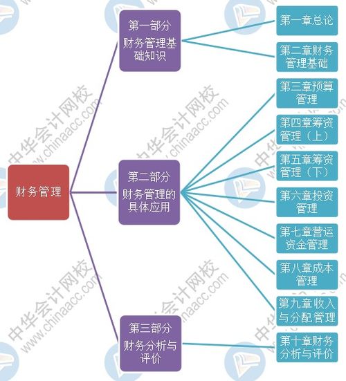 會計財務(wù)管理的基礎(chǔ)知識