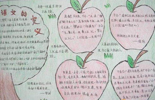 高中語文基礎(chǔ)知識(shí)手抄報(bào)