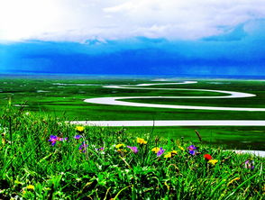 綜合基礎(chǔ)知識(shí)和綜合應(yīng)用能力,綜合基礎(chǔ)知識(shí)考試題型,重慶綜合基礎(chǔ)知識(shí)