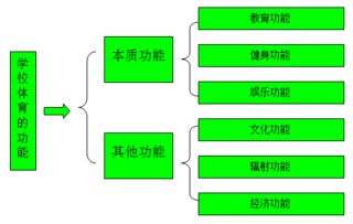 基礎(chǔ)知識,體育