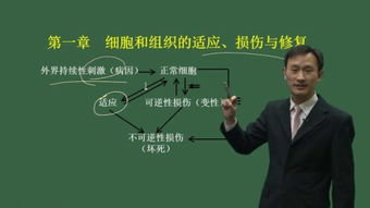 醫(yī)學(xué)基礎(chǔ)知識種子