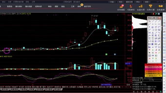 關(guān)于炒股的基礎(chǔ)知識