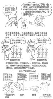 農(nóng)藥基礎(chǔ)知識(shí)培訓(xùn),農(nóng)藥基礎(chǔ)知識(shí)試題,農(nóng)藥基礎(chǔ)知識(shí)及概念