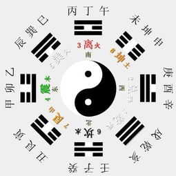 八字八門基礎(chǔ)知識(shí)詳解課程5