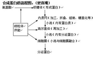 細胞生物基礎(chǔ)知識(上)