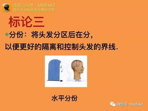 剪發(fā)基礎(chǔ)知識和基礎(chǔ)知識